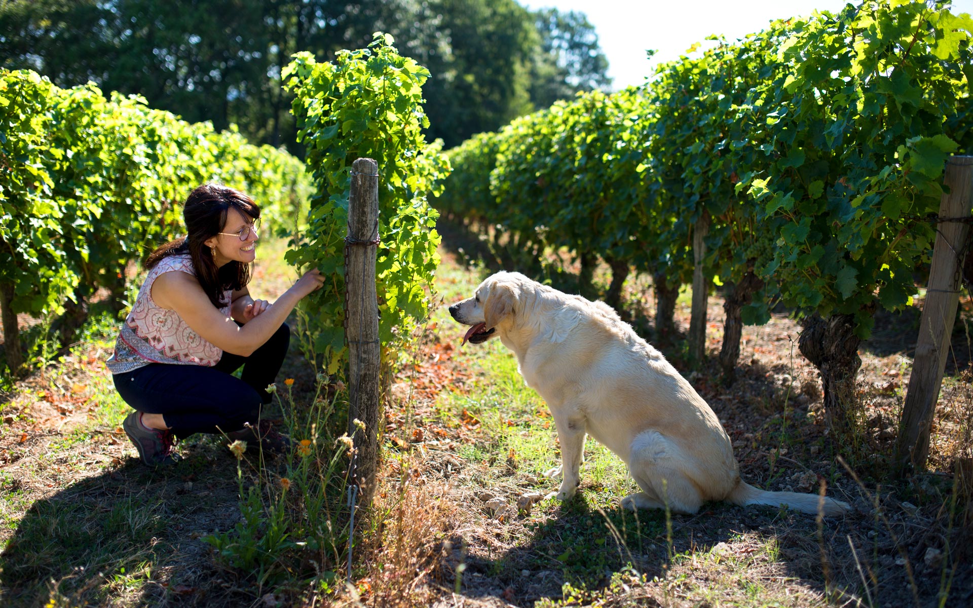actualités jacky marteau