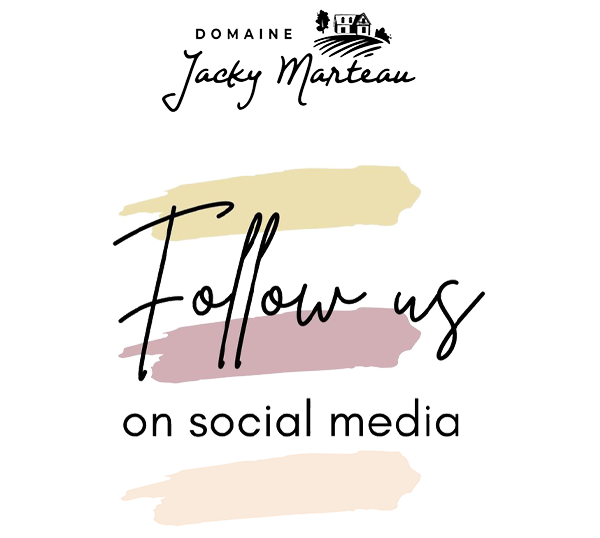 social media domaine jacky marteau